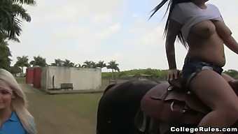 Public Humiliation And Submission: College Students Engage In Intense Bdsm With Classmate